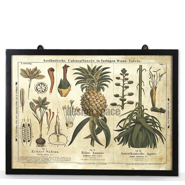 pineapple frame<br>(파인애플 액자)